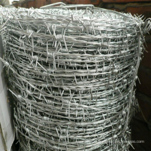 Electro Galvanized Barbed Wire Mesh